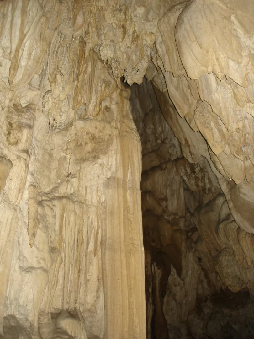 Baratang Island - Image 2