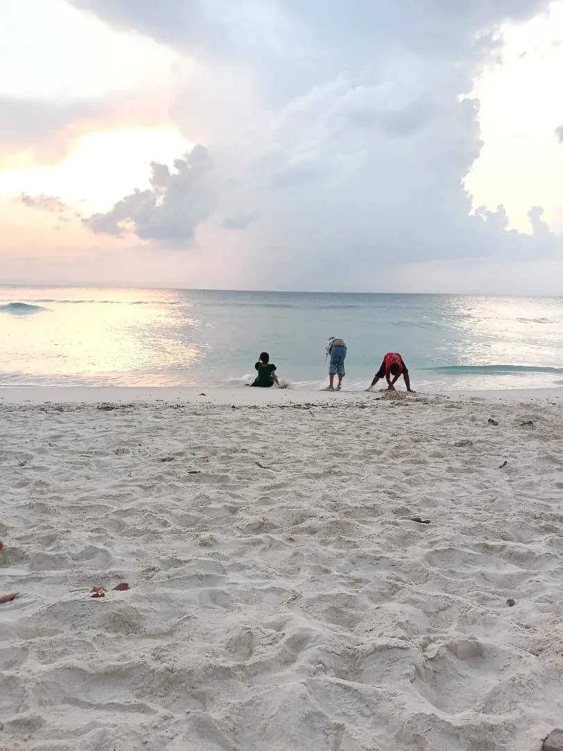 Havelock Island (Swaraj Dweep) - Image 3