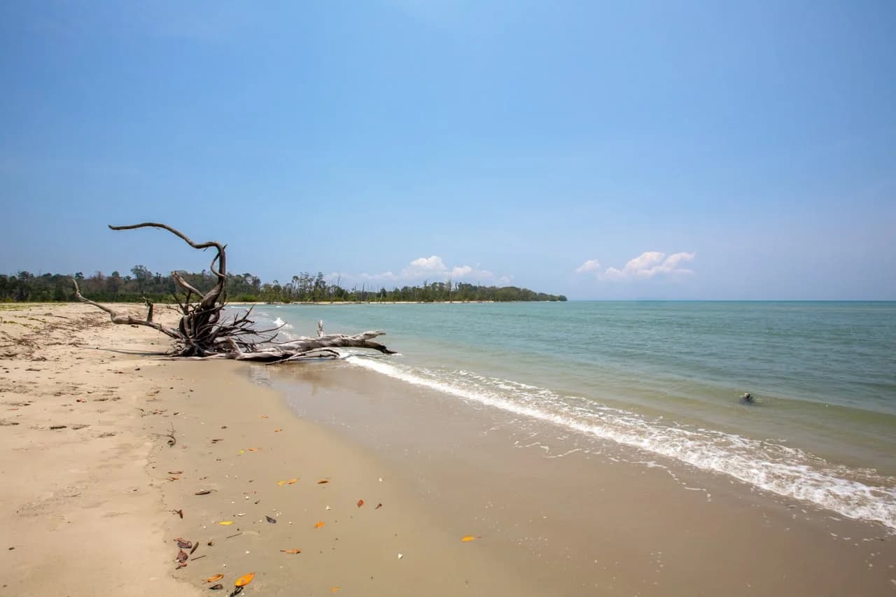 Andaman Island Paradise photo 4