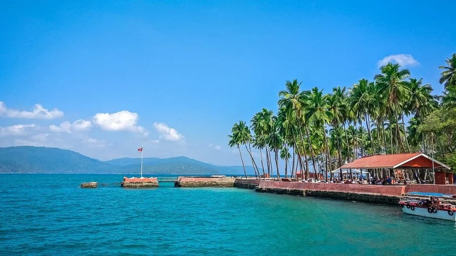 Andaman Short Escape photo 3