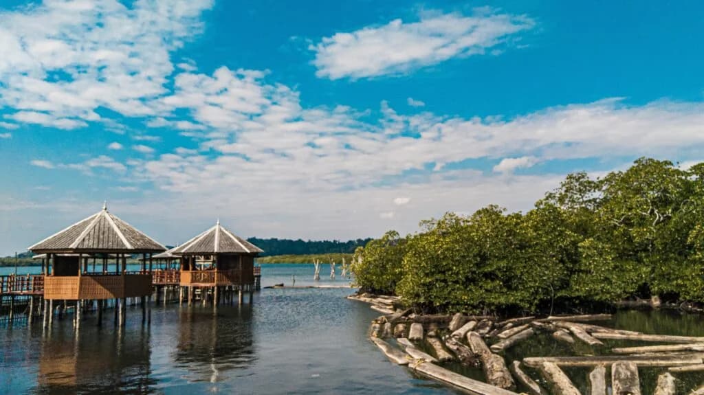 Andaman Island Paradise photo 5