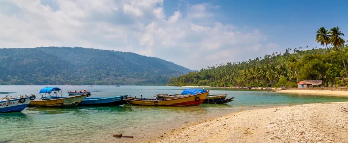 Andaman Island Paradise photo 3