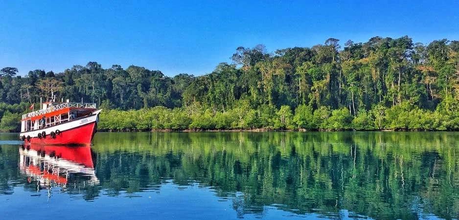 Parrot Island
