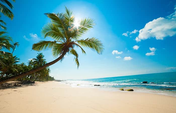 Andaman Island Explorer